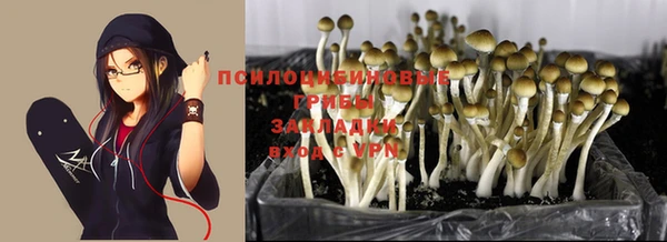 гидропоника Волосово
