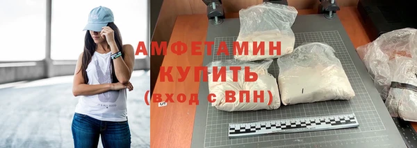 прущие грибы Волоколамск