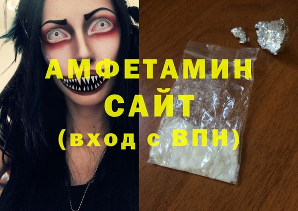 прущие грибы Волоколамск