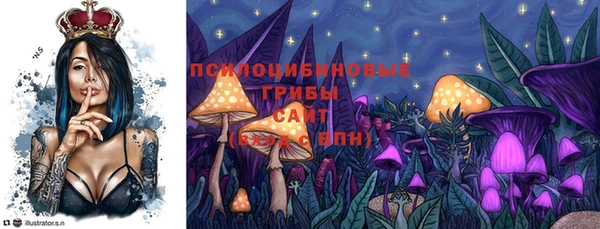 прущие грибы Волоколамск