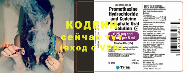 прущие грибы Волоколамск