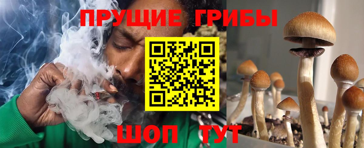 Псилоцибиновые грибы GOLDEN TEACHER  закладки  Вход с VPN  Ноябрьск  Галлюциногенные грибы мицелий 